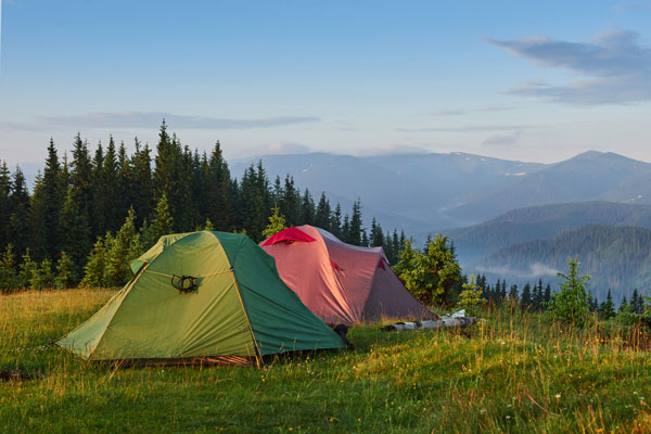 tourist tents are green misty forest mountains thumb